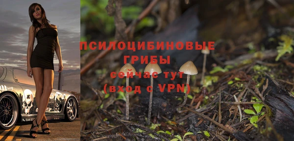 spice Горняк