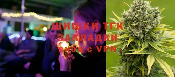 СК Гусев